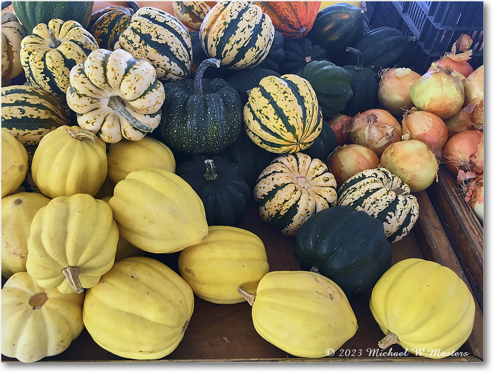 PumpkinPatch_Fredericksburg_2023Oct_IMG_1423 copy
