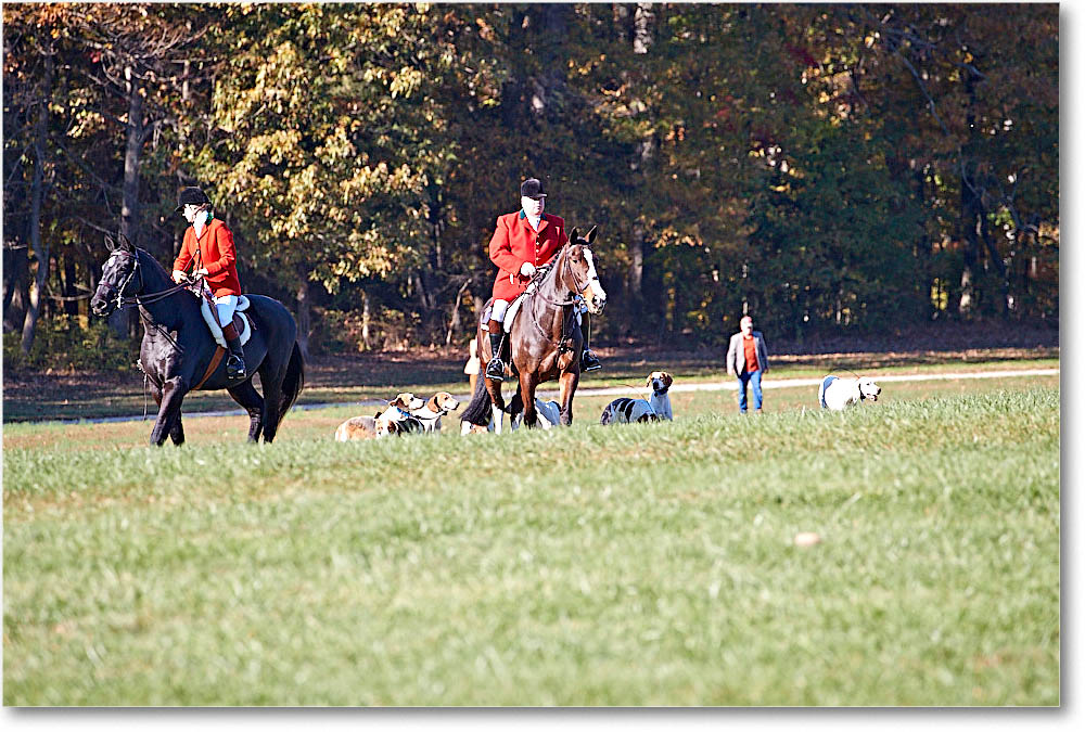 MtVernonHorses&Hounds_CarolineHuntClub_2016Nov_4DXA6252 copy