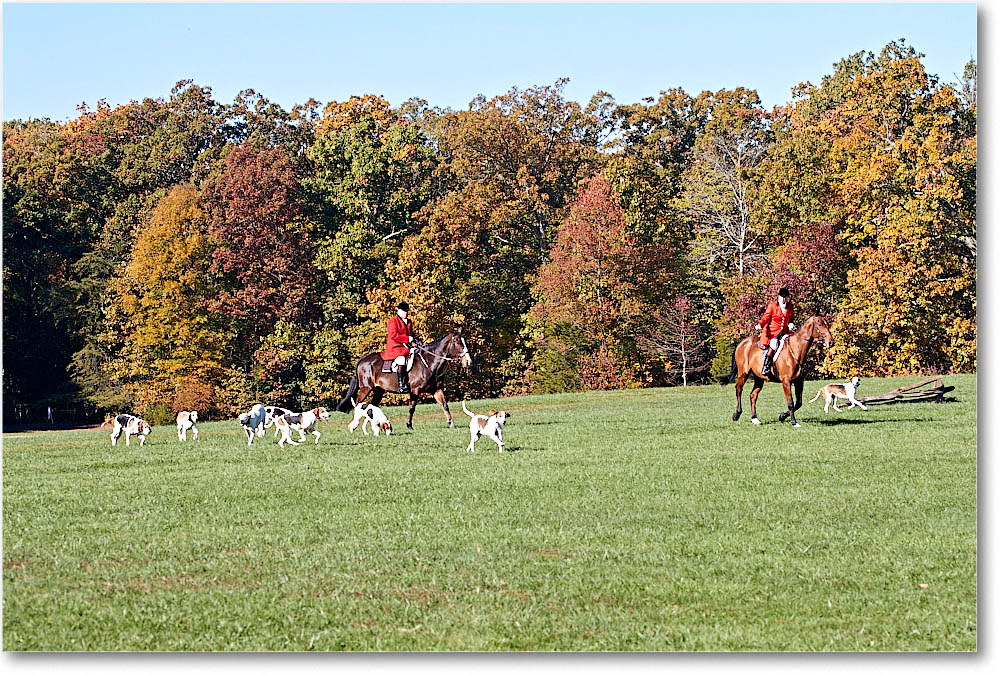 MtVernonHorses&Hounds_CarolineHuntClub_2016Nov_4DXA6255 copy