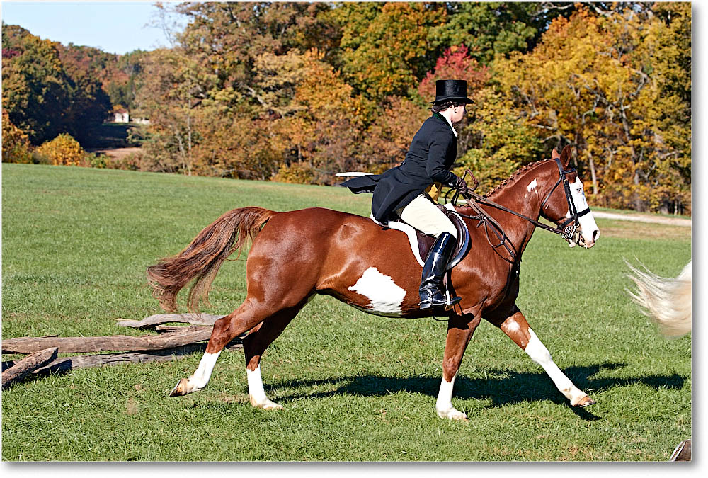 MtVernonHorses&Hounds_CarolineHuntClub_2016Nov_4DXA6272 copy