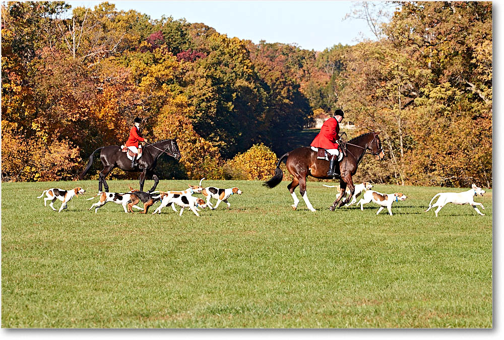 MtVernonHorses&Hounds_CarolineHuntClub_2016Nov_4DXA6285 copy