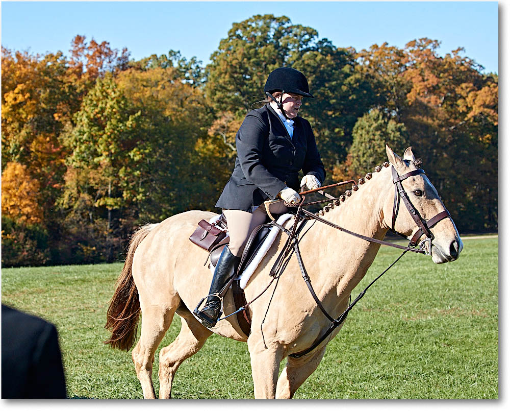 MtVernonHorses&Hounds_CarolineHuntClub_2016Nov_4DXA6300 copy