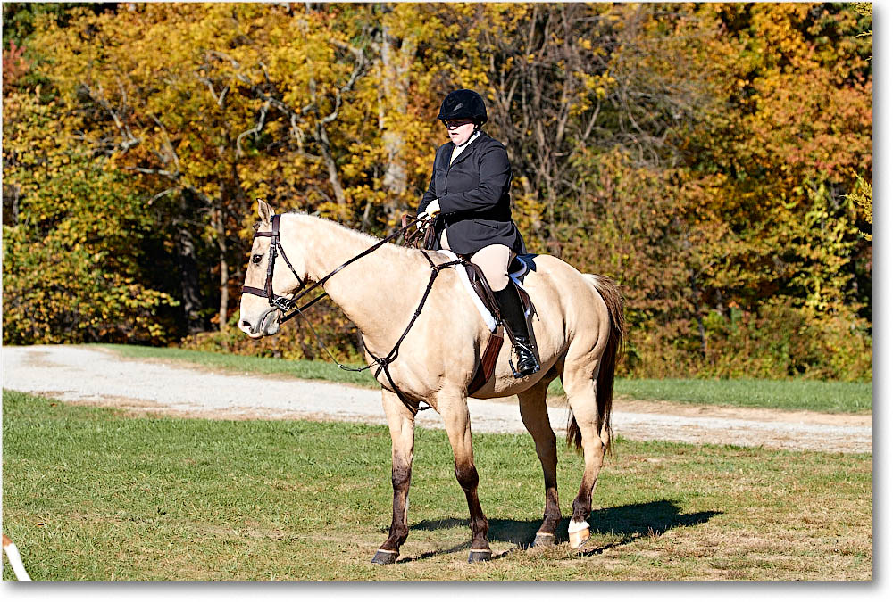 MtVernonHorses&Hounds_CarolineHuntClub_2016Nov_4DXA6344 copy