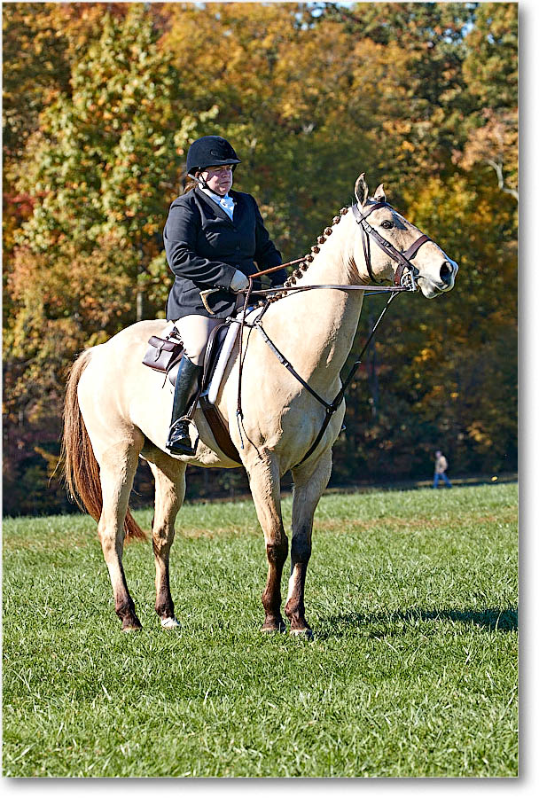 MtVernonHorses&Hounds_CarolineHuntClub_2016Nov_4DXA6353 copy