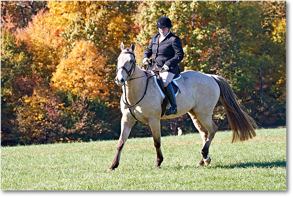 MtVernonHorses&Hounds_CarolineHuntClub_2016Nov_4DXA6357 copy