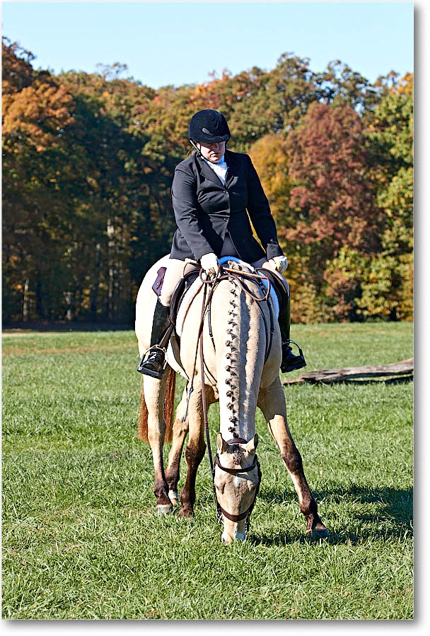 MtVernonHorses&Hounds_CarolineHuntClub_2016Nov_4DXA6368 copy