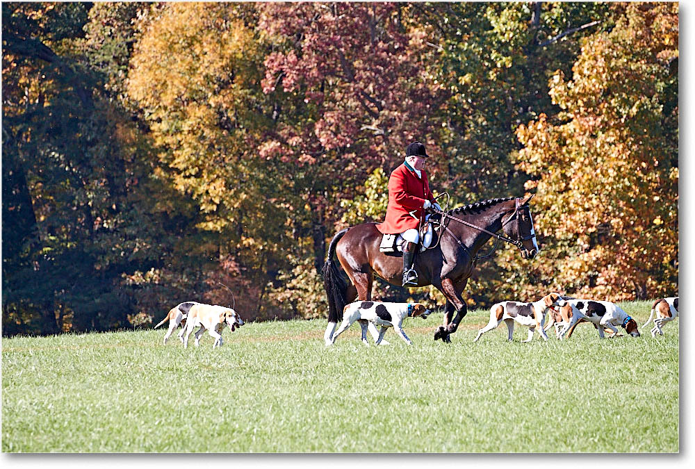 MtVernonHorses&Hounds_CarolineHuntClub_2016Nov_4DXA6456 copy