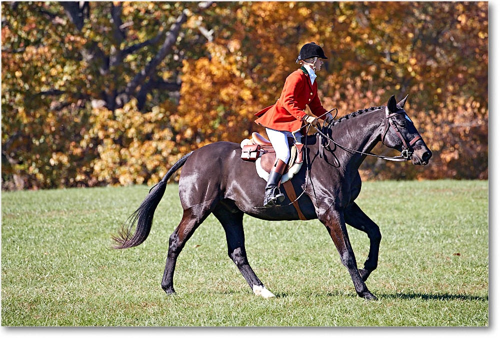 MtVernonHorses&Hounds_CarolineHuntClub_2016Nov_4DXA6460 copy