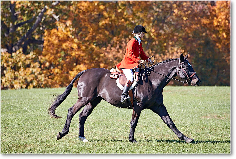 MtVernonHorses&Hounds_CarolineHuntClub_2016Nov_4DXA6462 copy