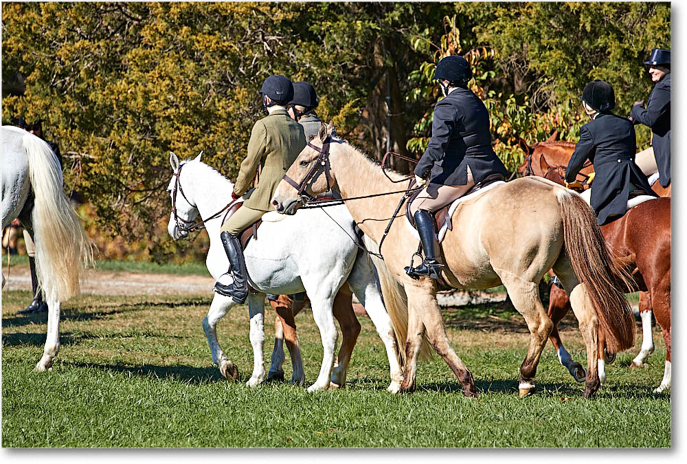 MtVernonHorses&Hounds_CarolineHuntClub_2016Nov_4DXA6465 copy