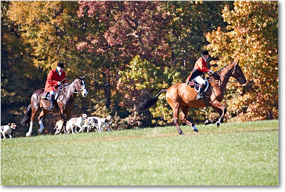 MtVernonHorses&Hounds_CarolineHuntClub_2016Nov_4DXA6468 copy