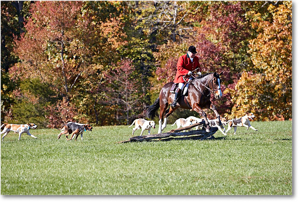 MtVernonHorses&Hounds_CarolineHuntClub_2016Nov_4DXA6473 copy