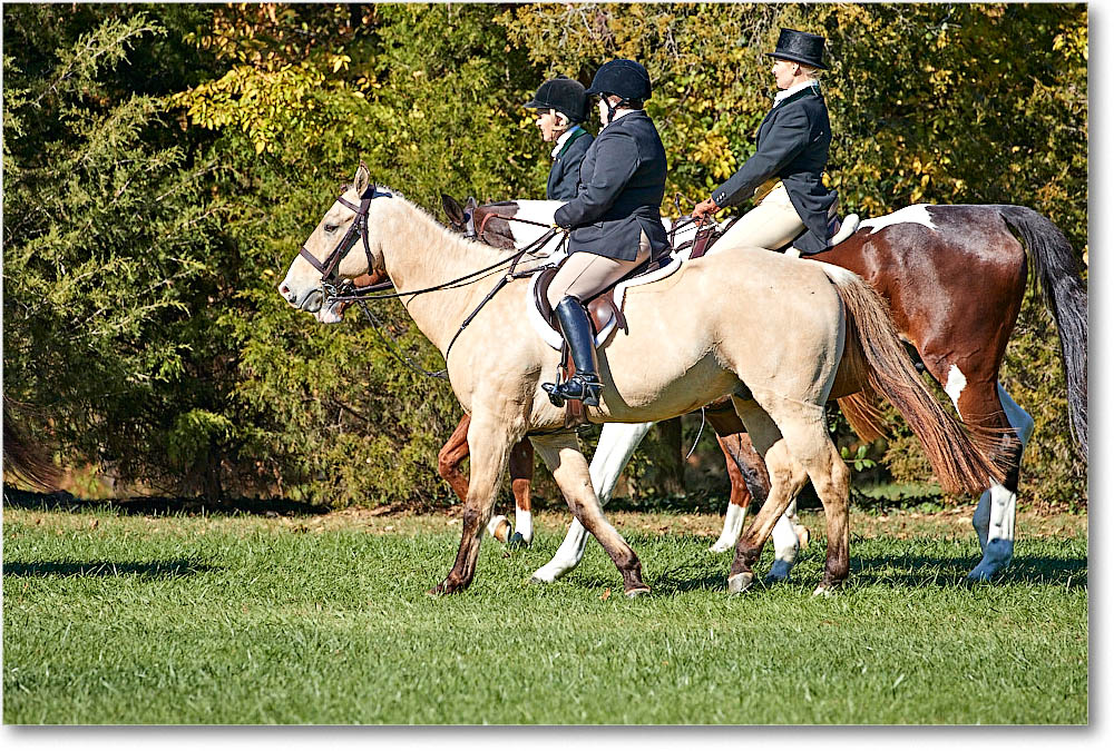 MtVernonHorses&Hounds_CarolineHuntClub_2016Nov_4DXA6488 copy