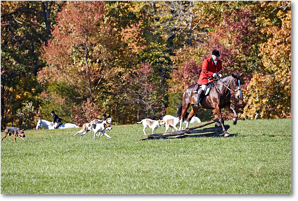 MtVernonHorses&Hounds_CarolineHuntClub_2016Nov_4DXA6491 copy