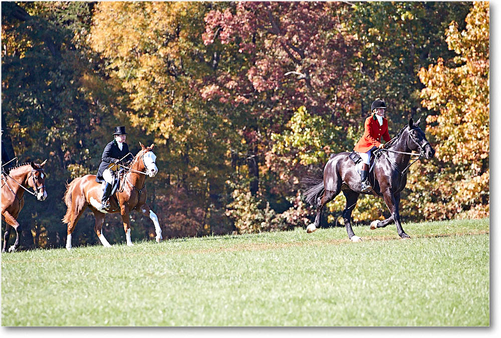 MtVernonHorses&Hounds_CarolineHuntClub_2016Nov_4DXA6494 copy