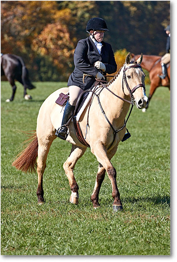 MtVernonHorses&Hounds_CarolineHuntClub_2016Nov_4DXA6505 copy