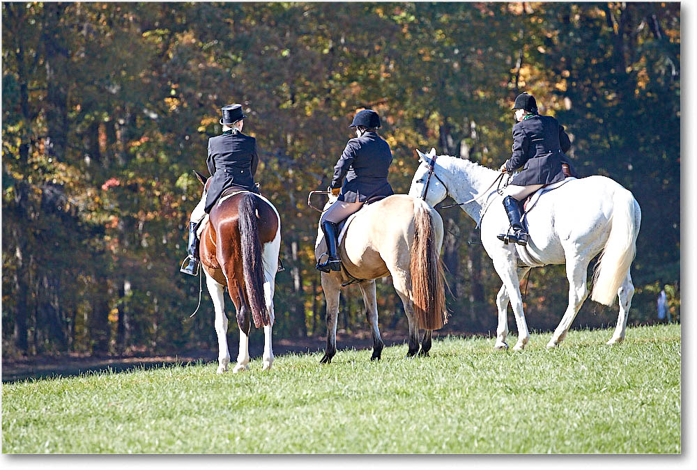 MtVernonHorses&Hounds_CarolineHuntClub_2016Nov_4DXA6507 copy