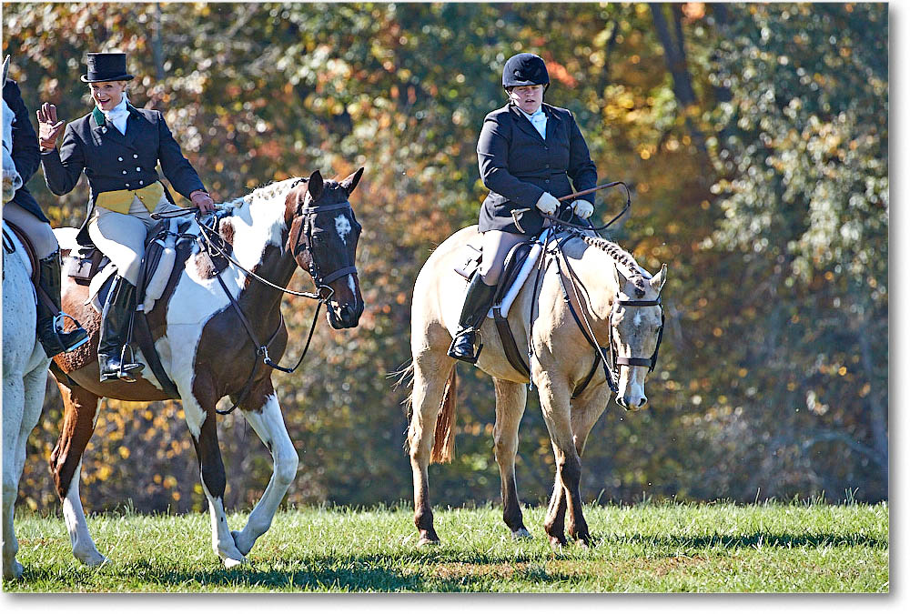 MtVernonHorses&Hounds_CarolineHuntClub_2016Nov_4DXA6523 copy