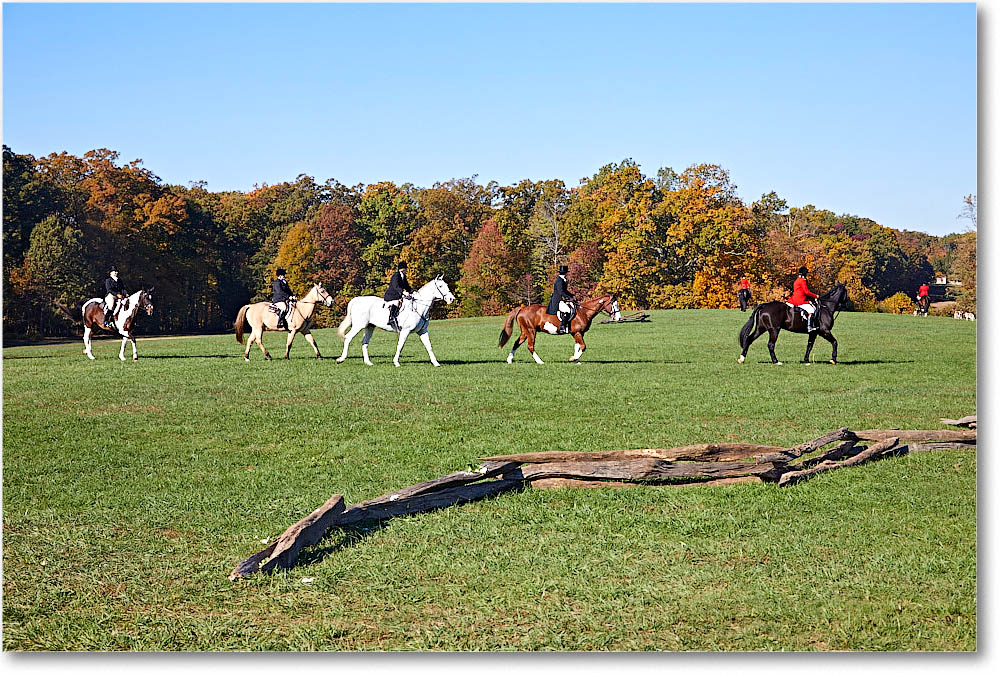 MtVernonHorses&Hounds_CarolineHuntClub_2016Nov_5D4A0333 copy