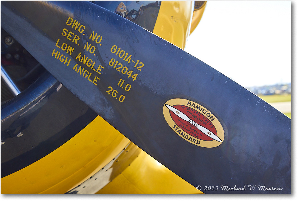 NorthAmericanT6GTexan_ShannonAir_2023Oct_T6Trainer_ShannonAir_2023Oct_R5B13457 copy