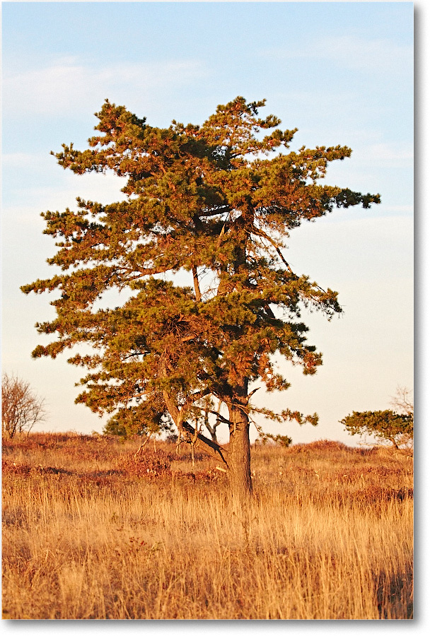 BigMeadowsScenic_2015Oct_D5A1751 copy