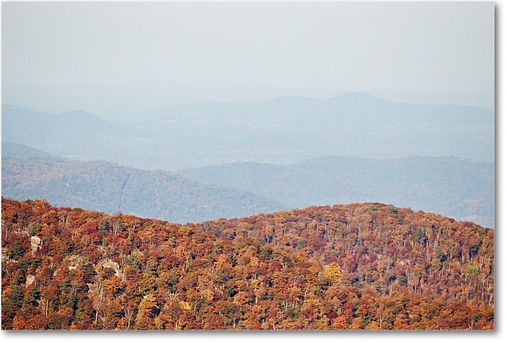 ThorofareMtnOL_SkylineDrive_2015Oct_D5A1677 copy