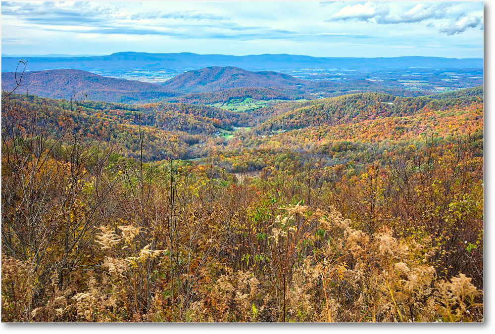 68_SandyBottom_2018Nov_5D5A1084-5-6-7 copy