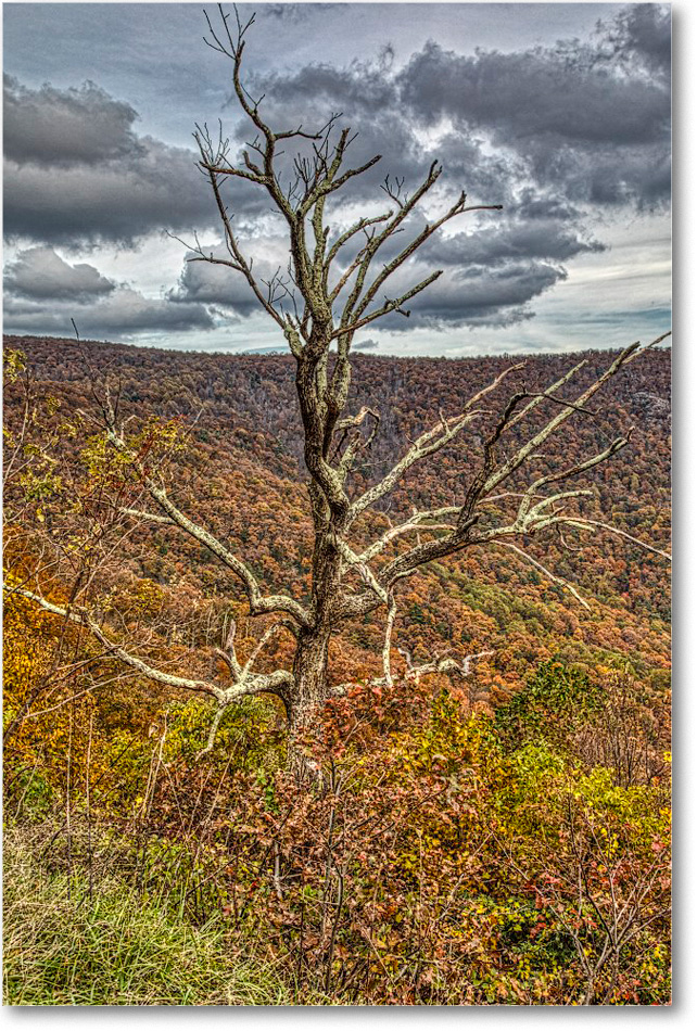 69-BaconHollow_2018Nov_5D5A1106 copy