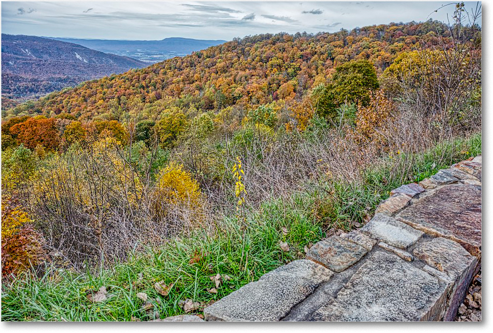 71-RockyMount_2018Nov_5D5A1113-4-5-6 copy