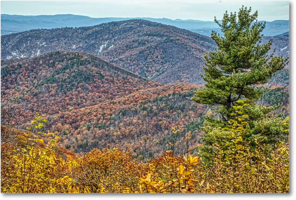 77-BrownMountain_2018Nov_5D5A1161-2-3-4-5 copy