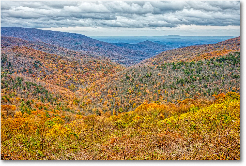 77-IvyCreek_2018Nov_5D5A1176-7-8-9 copy