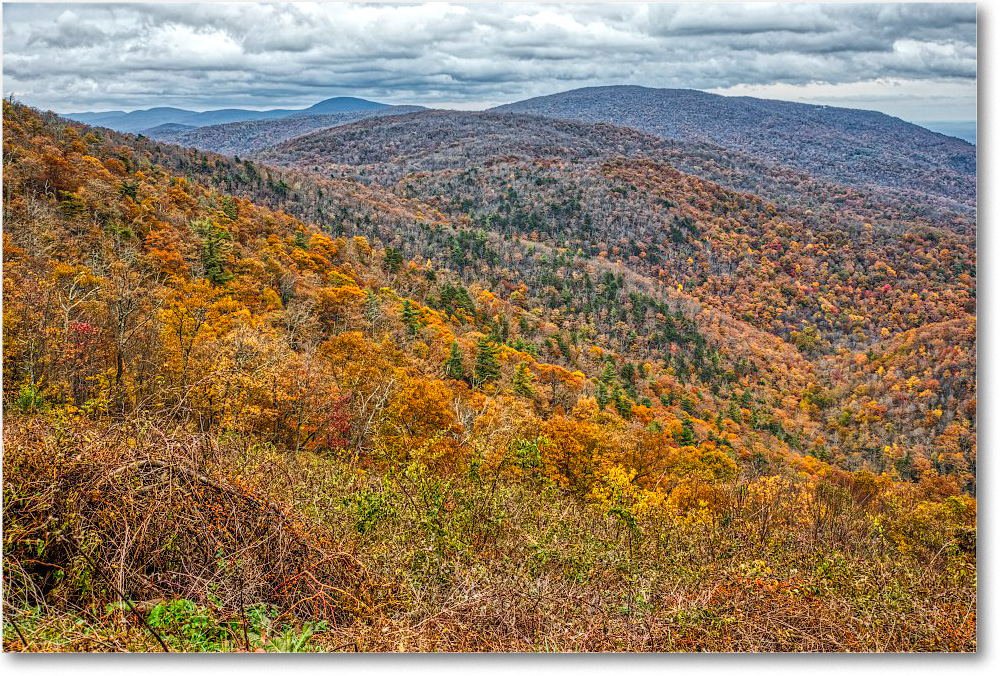 77-IvyCreek_2018Nov_5D5A1183 copy