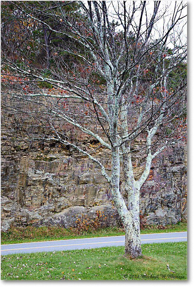 78-Rockytop-2018Nov_5D5A1192 copy