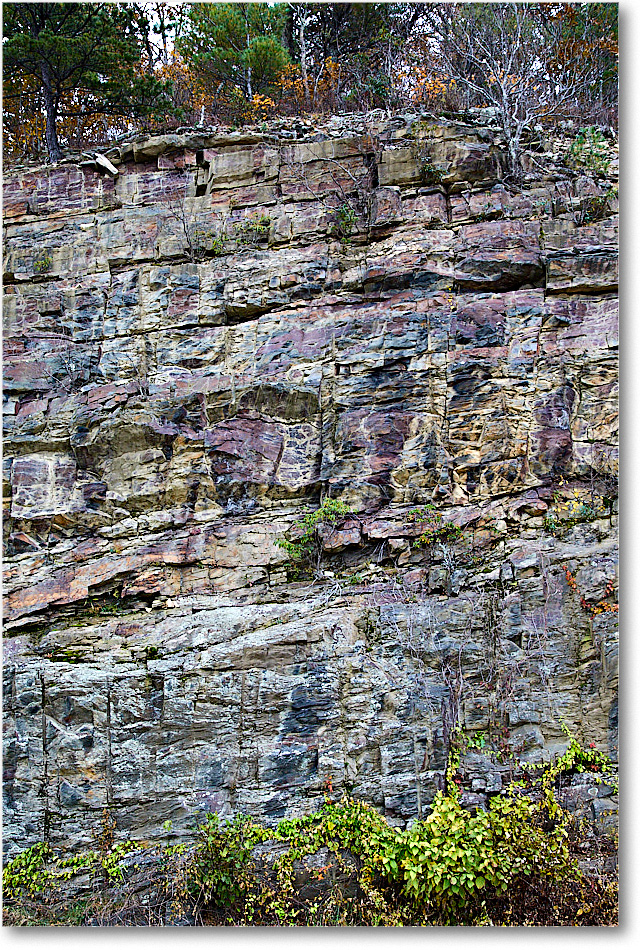 78-Rockytop-2018Nov_5D5A1193 copy