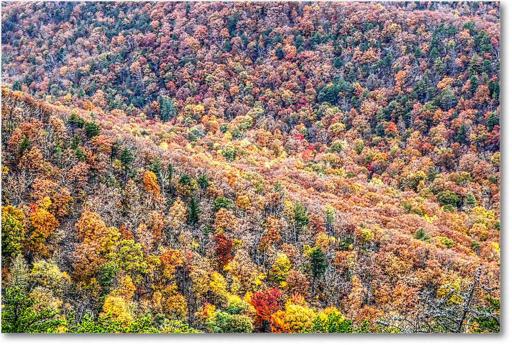 78-Rockytop_2018Nov_4DXB5702-3-4-5 copy