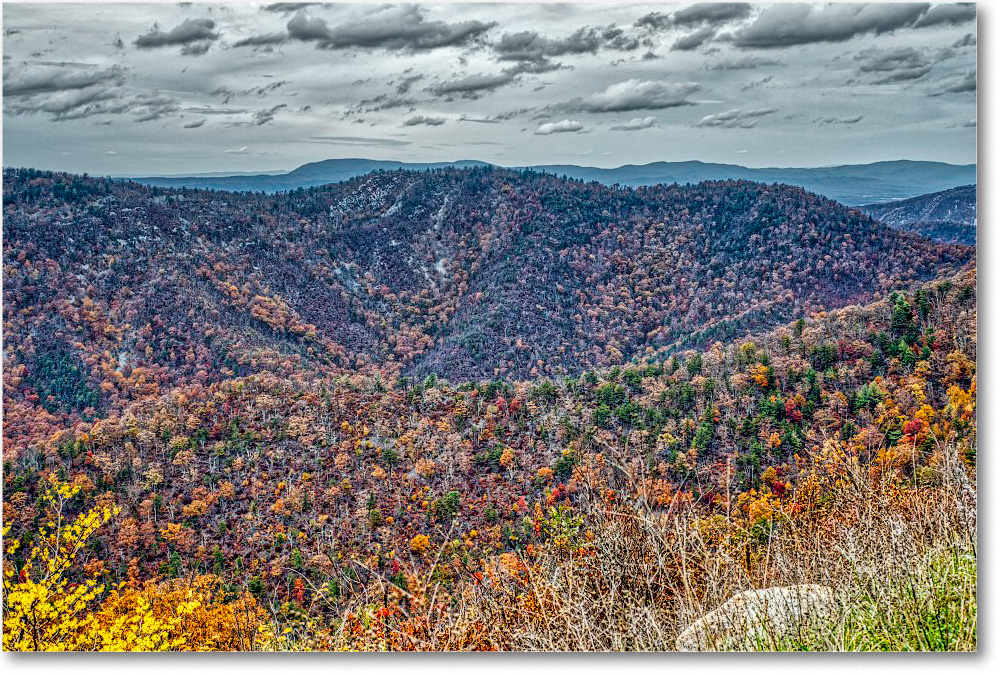 78-Rockytop_2018Nov_5D5A1226-7-8-9 copy