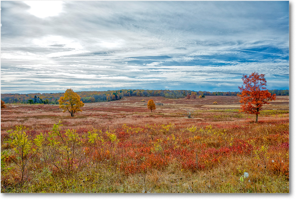 051-BigMeadows_2019Oct_5D4A2390-93 copy