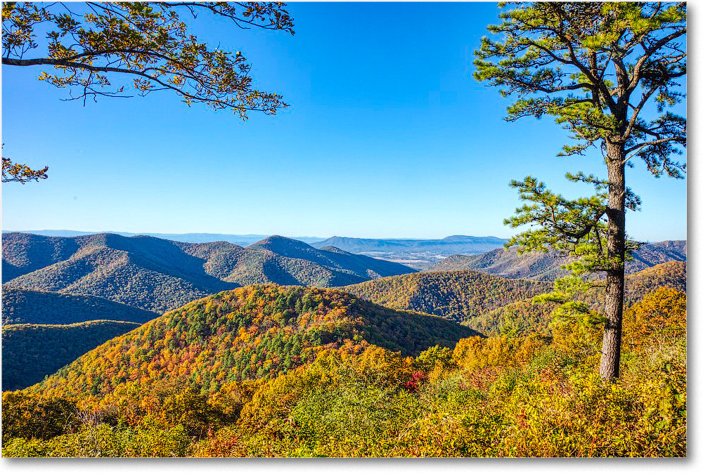 081-BigRunOverlook_SkylineDrive_2019Oct_5D4A2375-78 copy