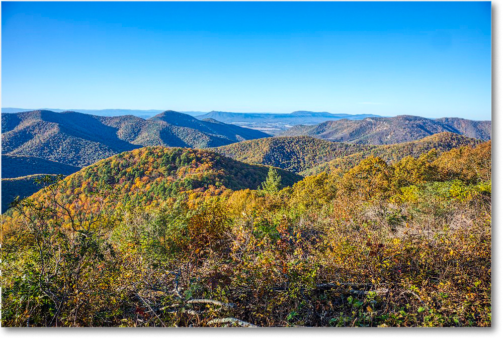 081-BigRunOverlook_SkylineDrive_2019Oct_5D4A2380-83 copy