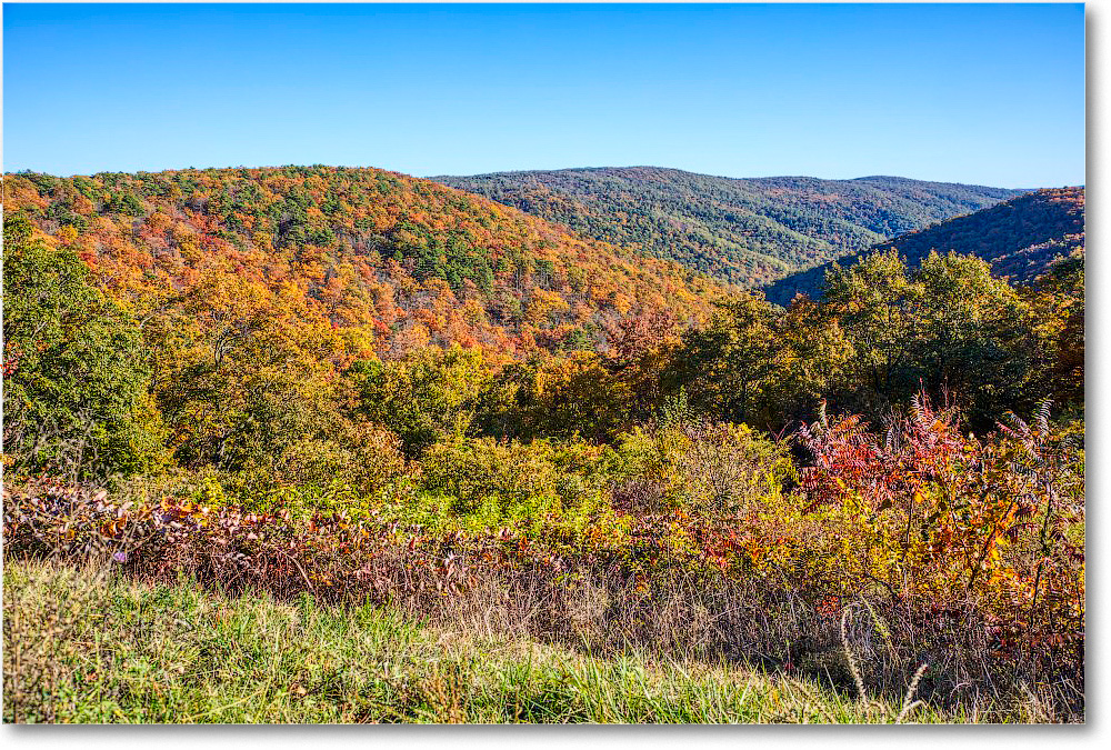 086-TrayfootMountain_SkylineDrive_2019Oct_5D4A2340-43 copy