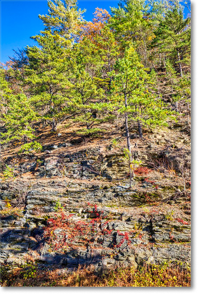 088-HorseheadMtn_Skyline_2019Oct_5D4A2335-38 copy