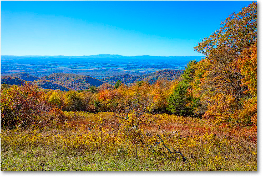 091-RipRapOverlook_SkylineDrive_2019Oct_5D4A2315-18 copy