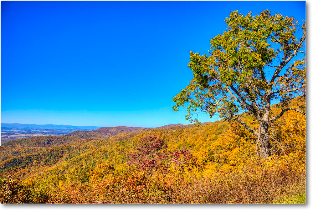 093-TurkMountain_SkylineDrive_2019Oct_5D4A2260-64 copy