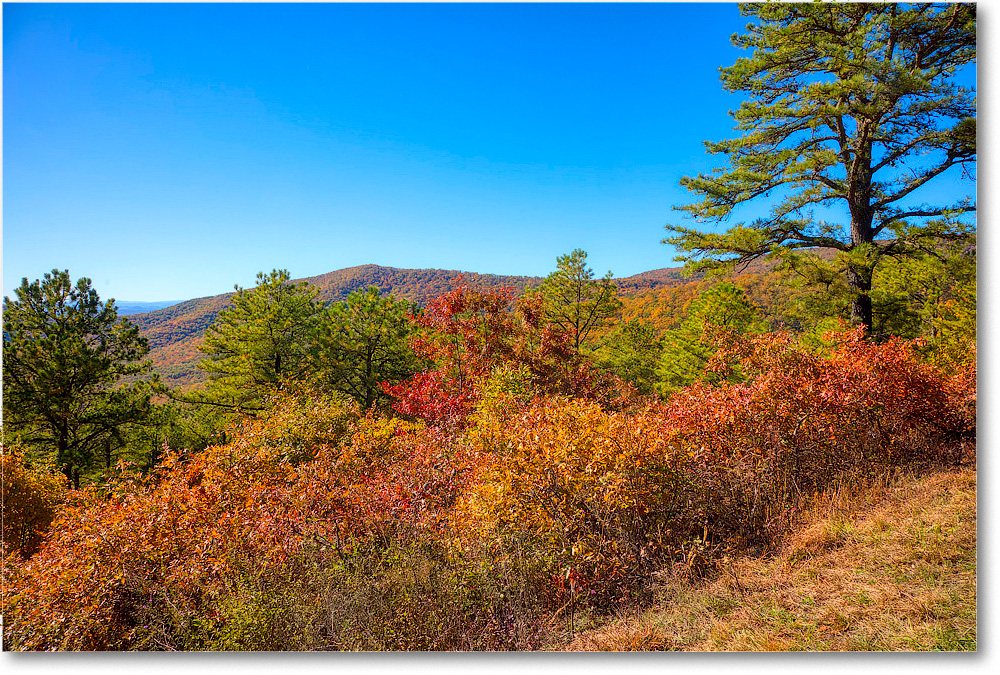 096-SawmillRidge_SkylineDrive_2019Oct_5D4A2220-24 copy