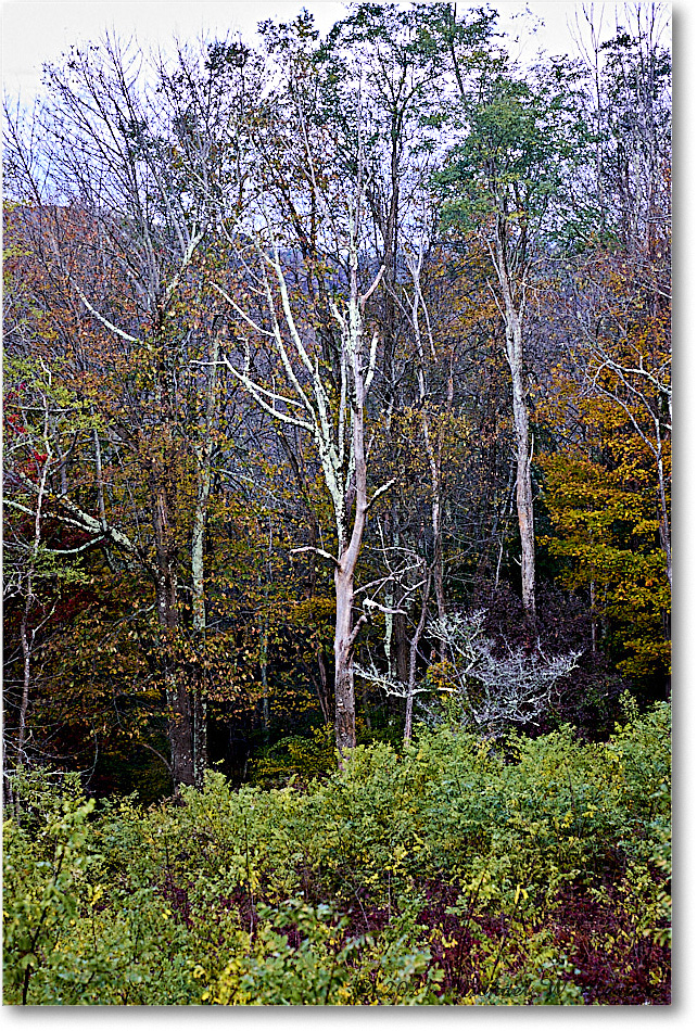054-HazeltopRidgeOverlook_SkylineDrive_2021Oct_R5B05826 copy