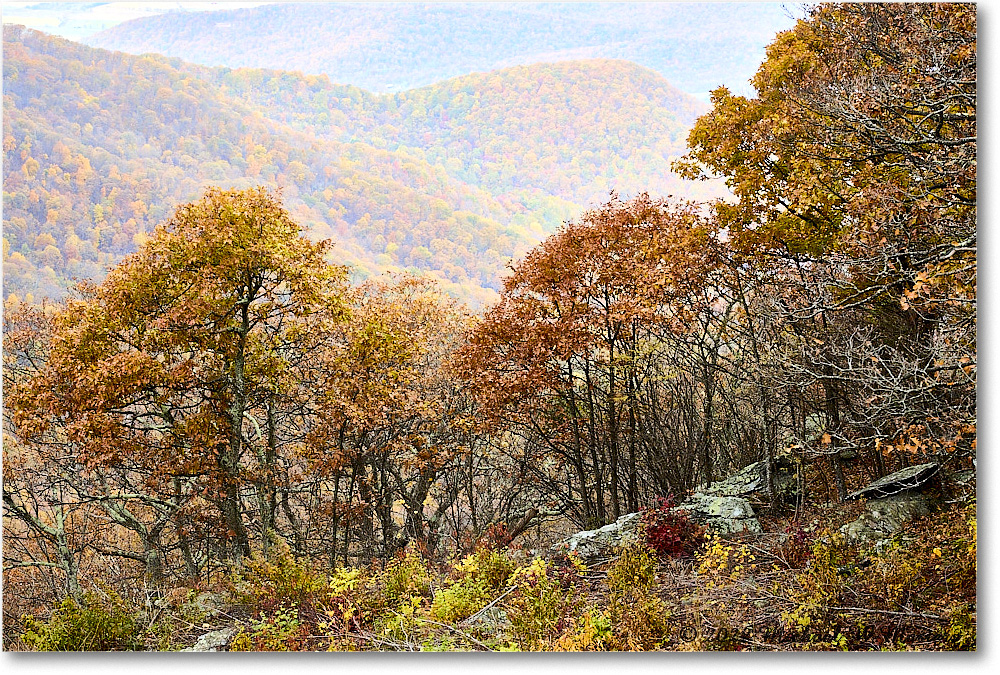 CrescentRockOverlook_SkylineDrive_2022Oct_R5A19789-90_HDR copy