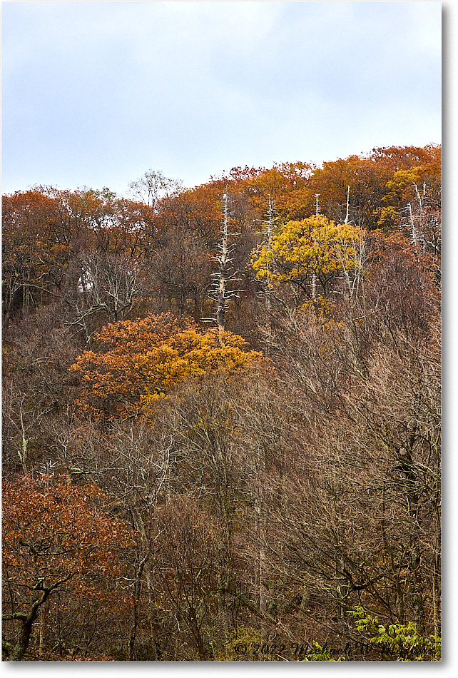 HemlockSpringsOverlook_SkylineDrive_2022Oct_R5A19846-47_HDR copy