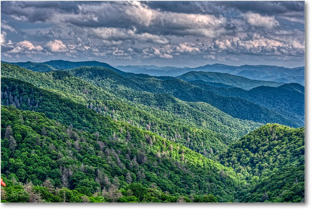 NCOverlook_GreatSmokyMtns_2009Jun_VE0K9602 copy