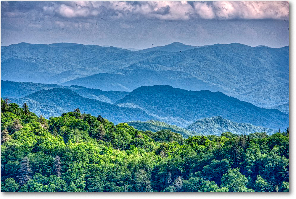 NCOverlook_GreatSmokyMtns_2009Jun_VE0K9605 copy