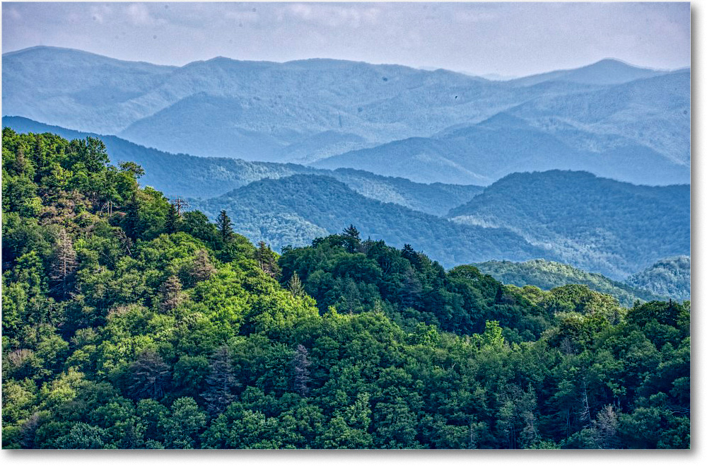 NCOverlook_GreatSmokyMtns_2009Jun_VE0K9607-8-9-10-11 copy